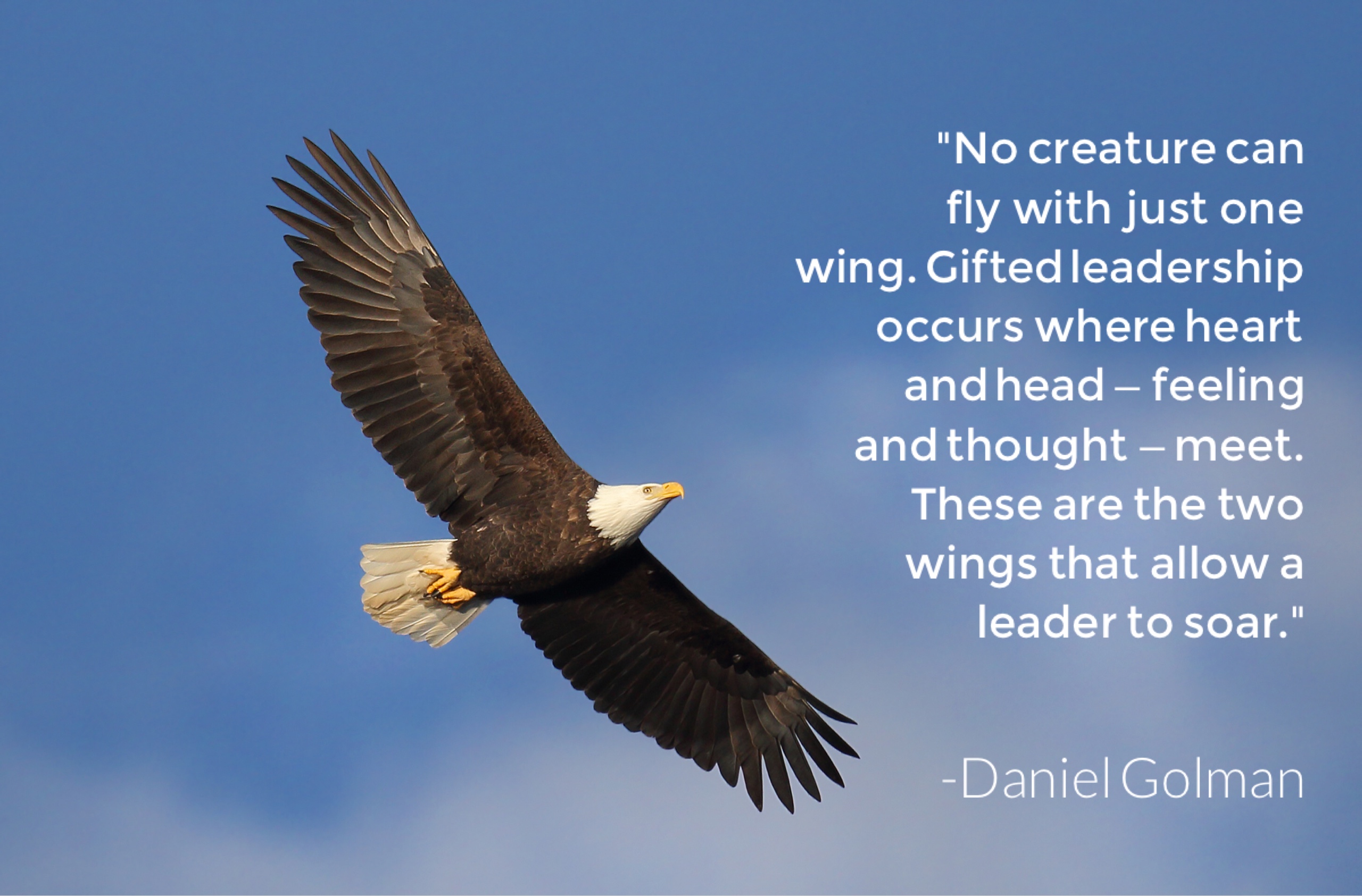 No creature can fly with just one wing. Gifted leadership occurs with the heart and the head – feeling and thought – meet. These are the two wings that allow a leader to soar. Daniel Goleman.